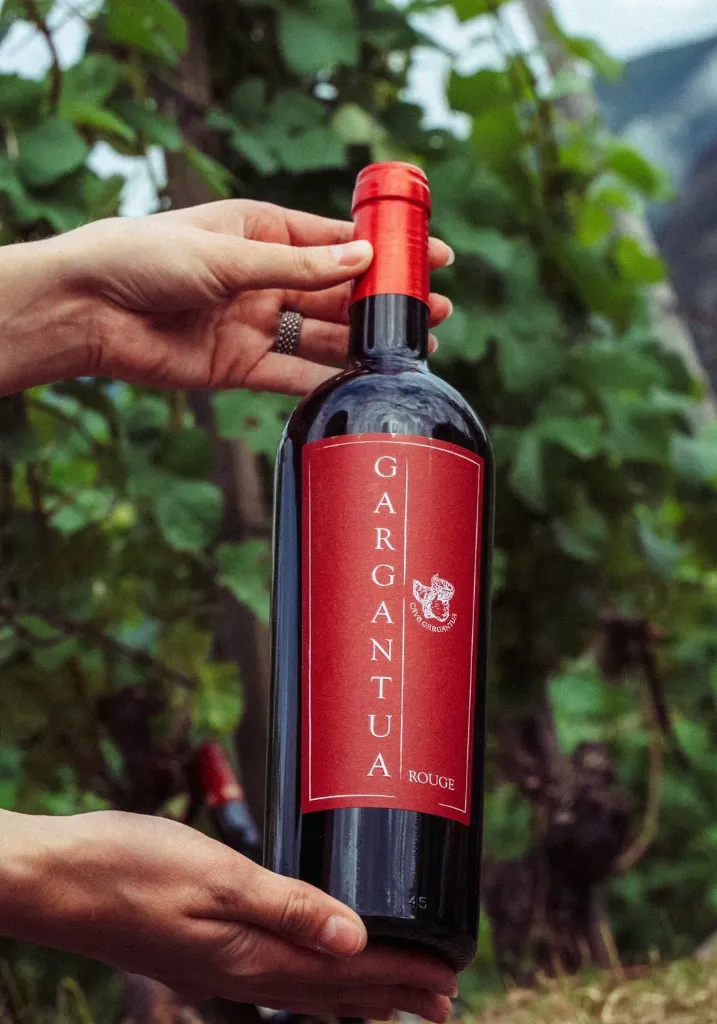 Cave Gargantua - Gargantua Rouge - Btl 75cl - 13% - 2024