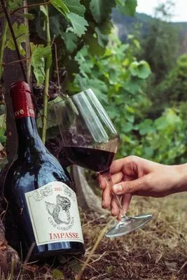 [ViRB2BAO005] Cave Gargantua - Impasse DOC - Btl 75cl - 15.5% - 2022