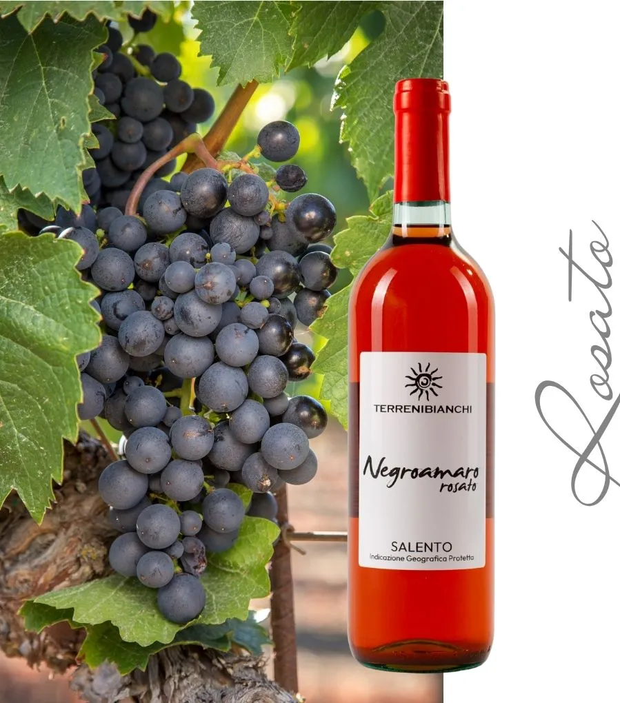 Terrenibianchi SALENTO IGP NEGROAMARO ROSATO - BT 75cl -12% - 2024
