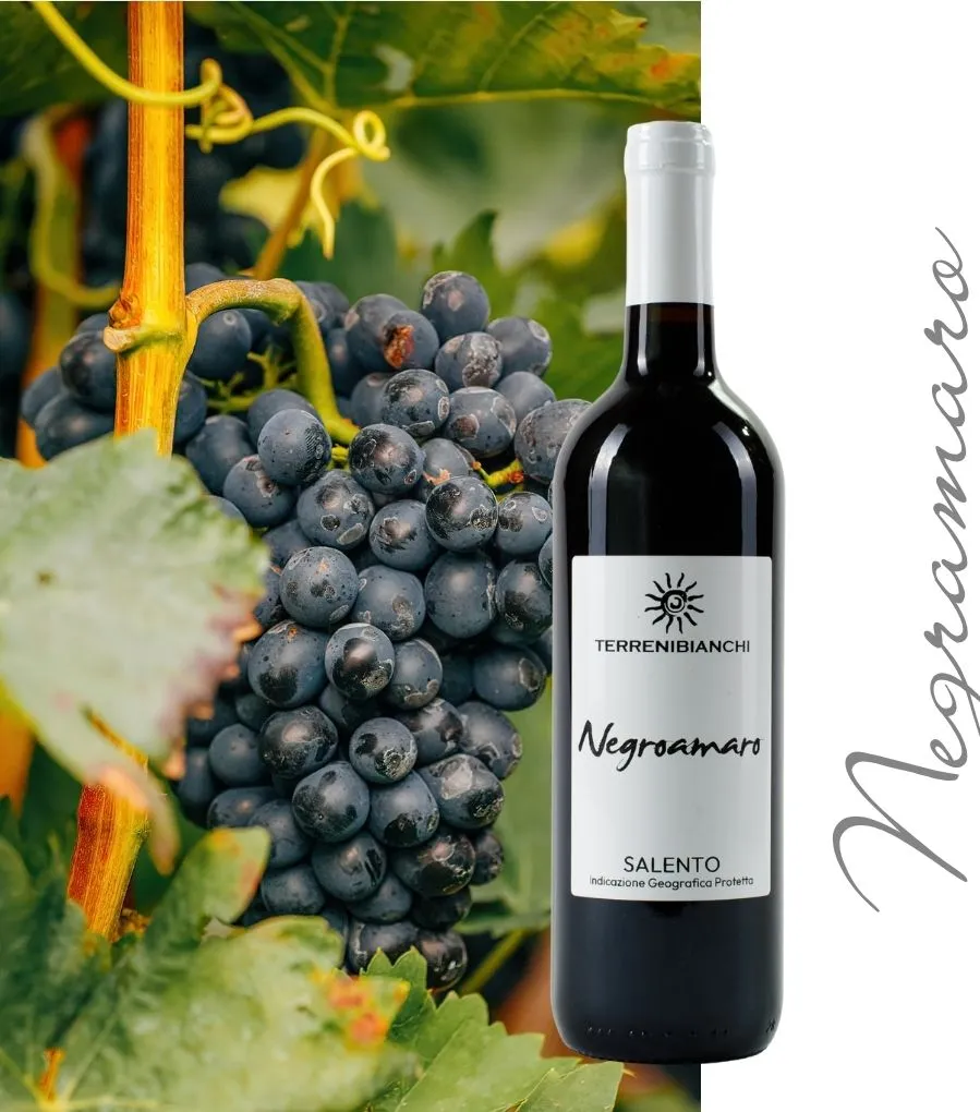 Terrenibianchi SALENTO IGP NEGROAMARO ROSSO - BT 75cl - 13% - 2024