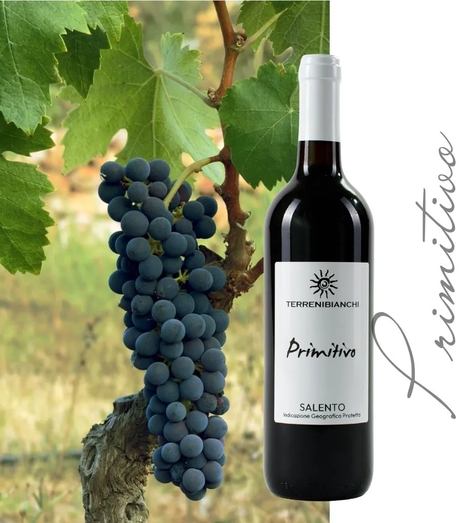 [VIBB2TBIPU002] Terrenibianchi SALENTO IGP PRIMITIVO ROSSO - BT 75cl - 14% - 2024