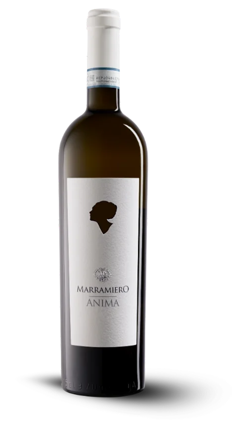 Azienda Marramiero - btl 75cl - 13.5% ANIMA TREBBIANO D’ABRUZZO D.O.C.